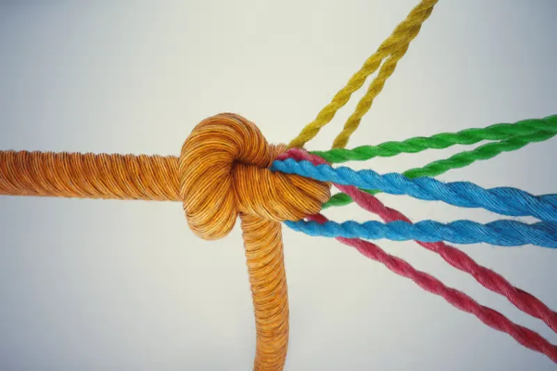leaders pulled in multiple directions - ropes leaders pulled in multiple directions - ropes